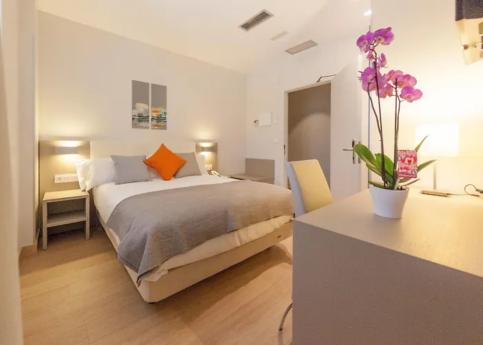 Colectia Urumea San Sebastián