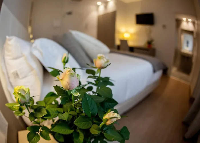 Hotel Colectia Urumea 2*